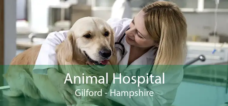 Animal Hospital Gilford - Hampshire