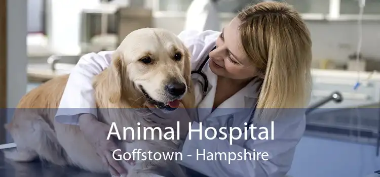 Animal Hospital Goffstown - Hampshire
