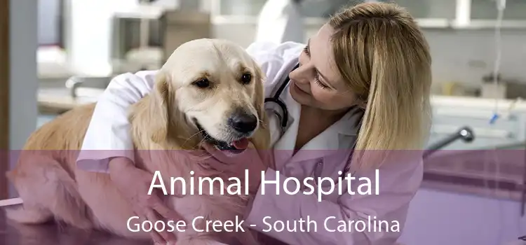 Animal Hospital Goose Creek - South Carolina