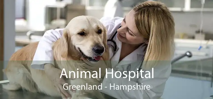 Animal Hospital Greenland - Hampshire