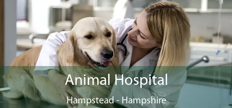 Animal Hospital Hampstead - Hampshire