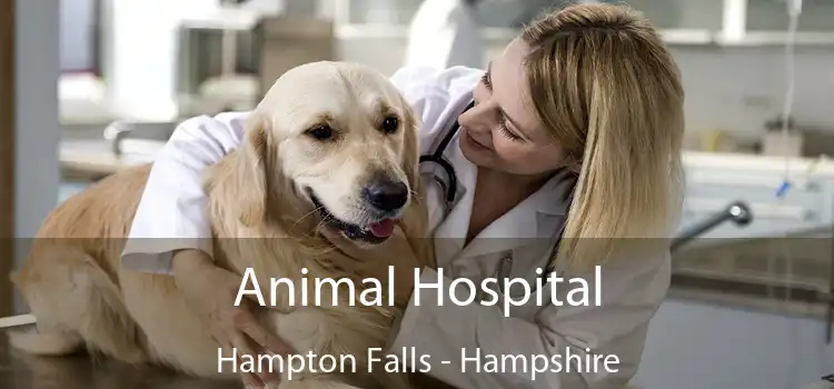 Animal Hospital Hampton Falls - Hampshire