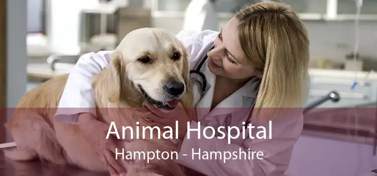 Animal Hospital Hampton - Hampshire