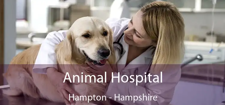 Animal Hospital Hampton - Hampshire