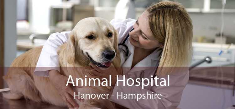 Animal Hospital Hanover - Hampshire