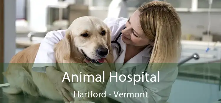 Animal Hospital Hartford - Vermont