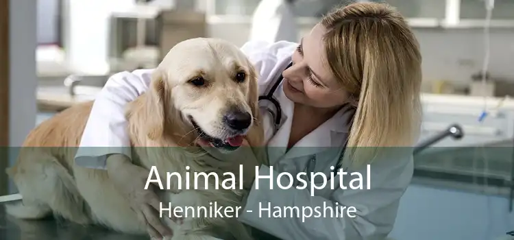 Animal Hospital Henniker - Hampshire