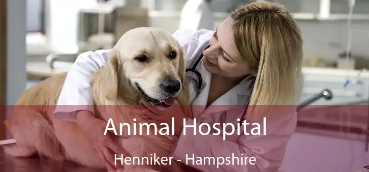 Animal Hospital Henniker - Hampshire