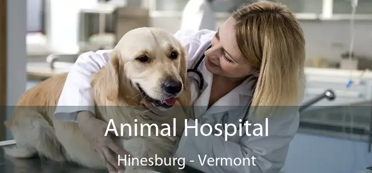 Animal Hospital Hinesburg - Vermont