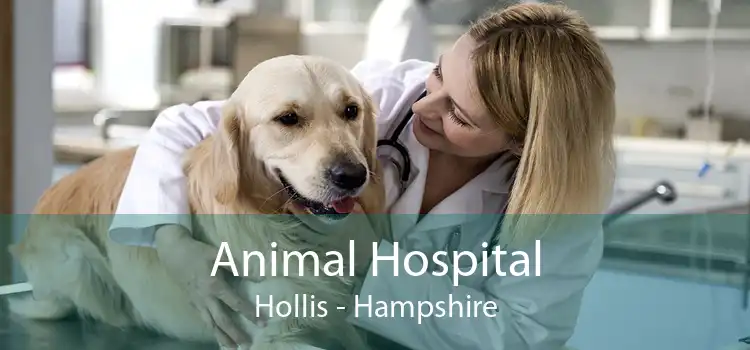 Animal Hospital Hollis - Hampshire