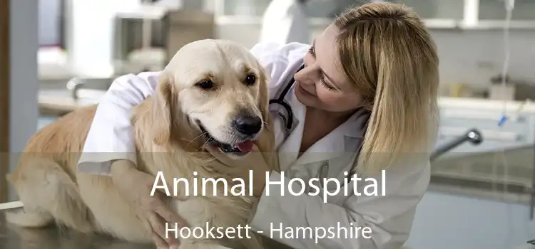 Animal Hospital Hooksett - Hampshire