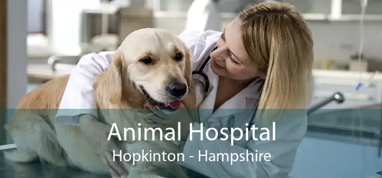 Animal Hospital Hopkinton - Hampshire
