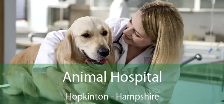 Animal Hospital Hopkinton - Hampshire