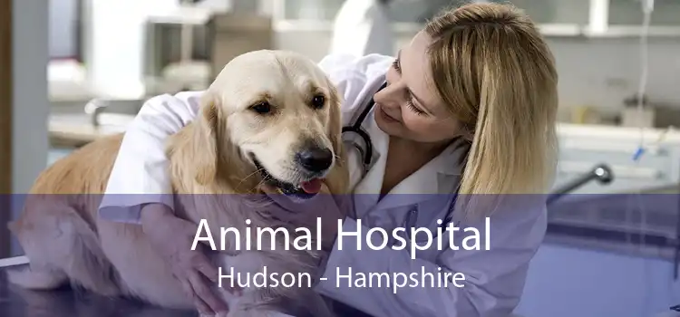 Animal Hospital Hudson - Hampshire