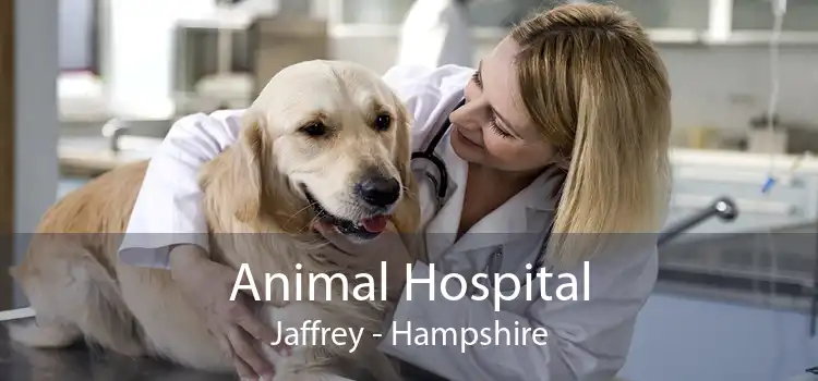 Animal Hospital Jaffrey - Hampshire