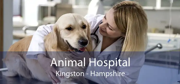 Animal Hospital Kingston - Hampshire