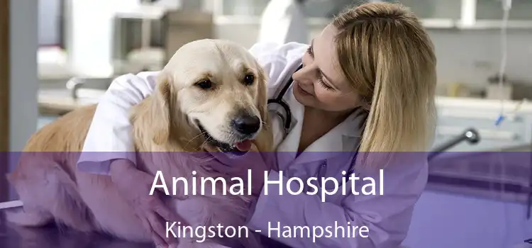 Animal Hospital Kingston - Hampshire