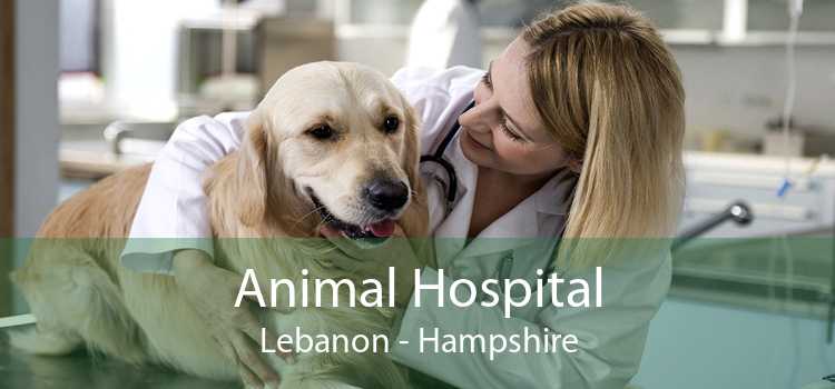 Animal Hospital Lebanon - Hampshire