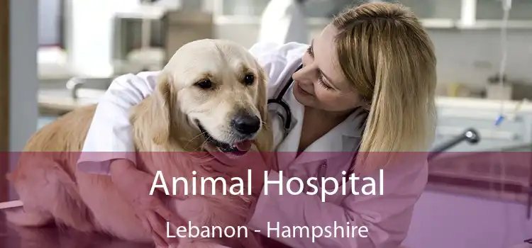 Animal Hospital Lebanon - Hampshire