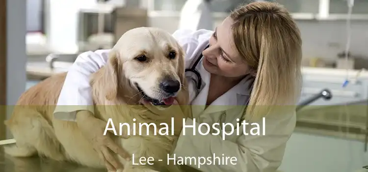 Animal Hospital Lee - Hampshire