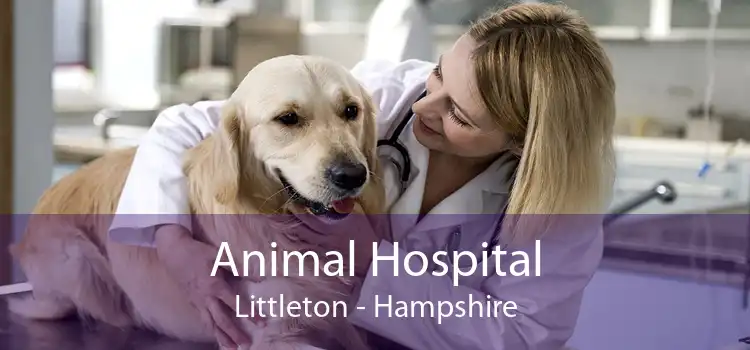 Animal Hospital Littleton - Hampshire