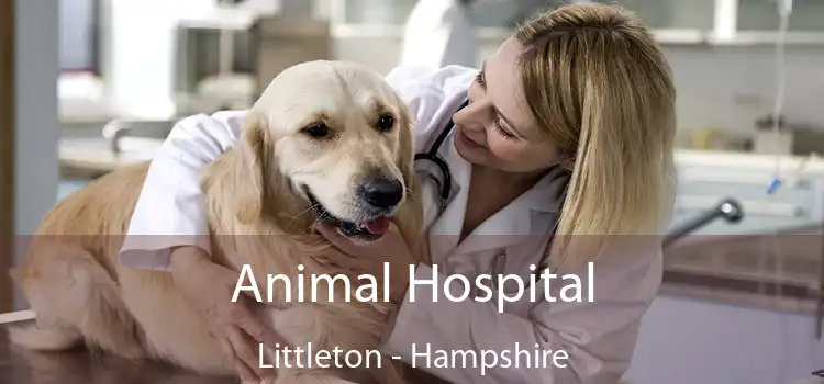 Animal Hospital Littleton - Hampshire