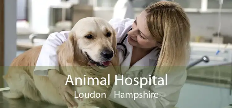 Animal Hospital Loudon - Hampshire