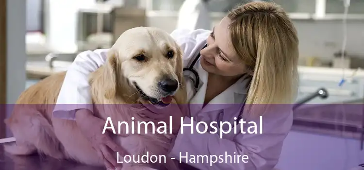 Animal Hospital Loudon - Hampshire