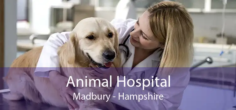 Animal Hospital Madbury - Hampshire
