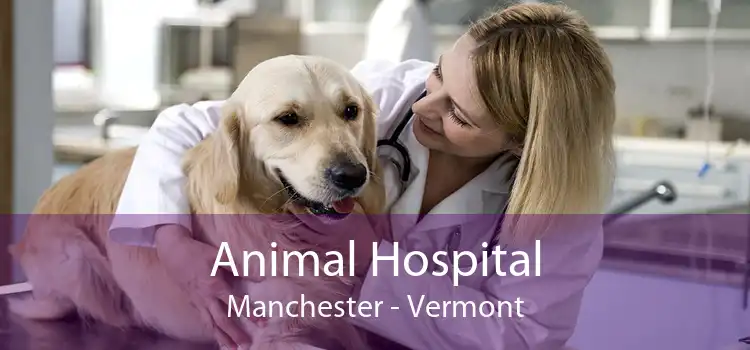 Animal Hospital Manchester - Vermont