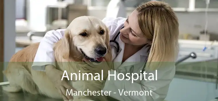 Animal Hospital Manchester - Vermont