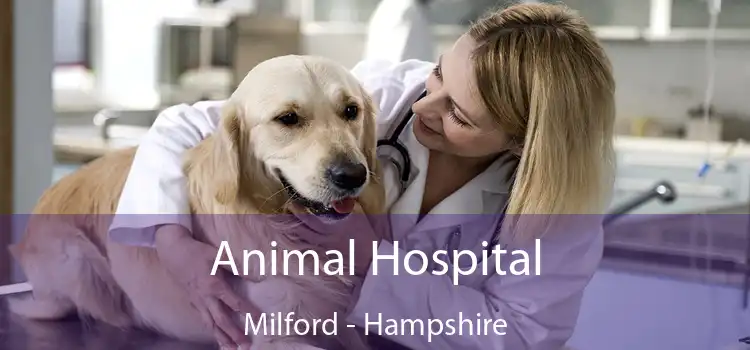 Animal Hospital Milford - Hampshire