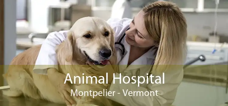 Animal Hospital Montpelier - Vermont