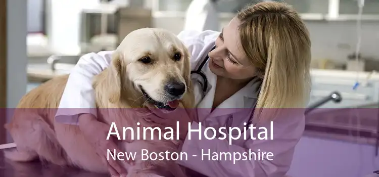 Animal Hospital New Boston - Hampshire