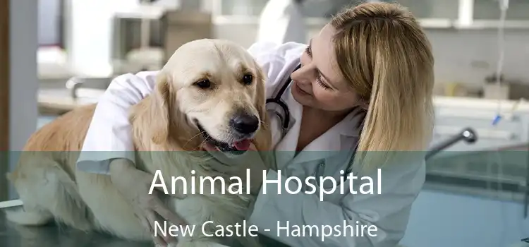 Animal Hospital New Castle - Hampshire