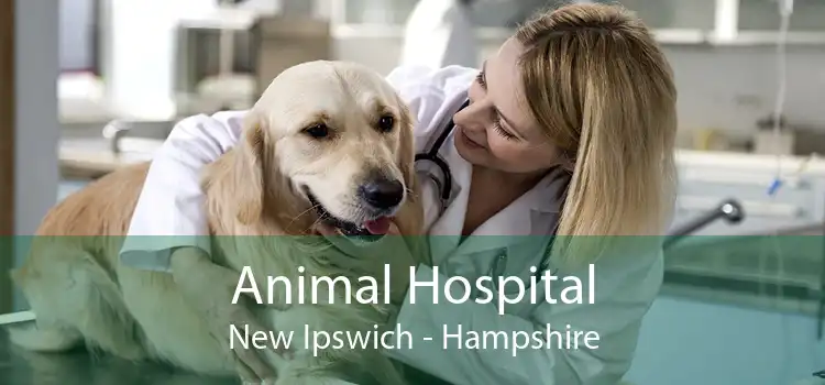 Animal Hospital New Ipswich - Hampshire