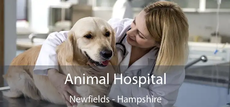 Animal Hospital Newfields - Hampshire