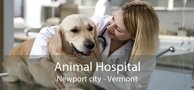 Animal Hospital Newport city - Vermont