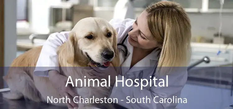 Animal Hospital North Charleston - South Carolina