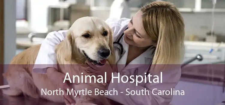 Animal Hospital North Myrtle Beach - South Carolina