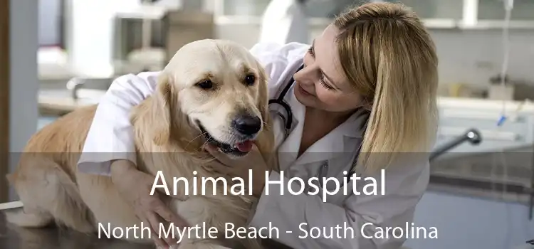 Animal Hospital North Myrtle Beach - South Carolina