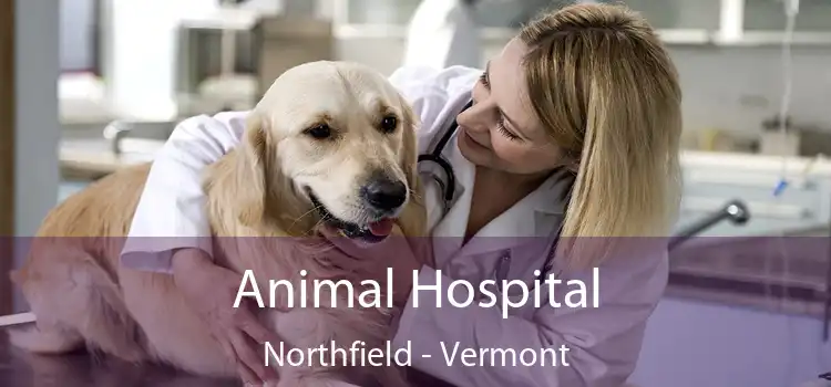 Animal Hospital Northfield - Vermont