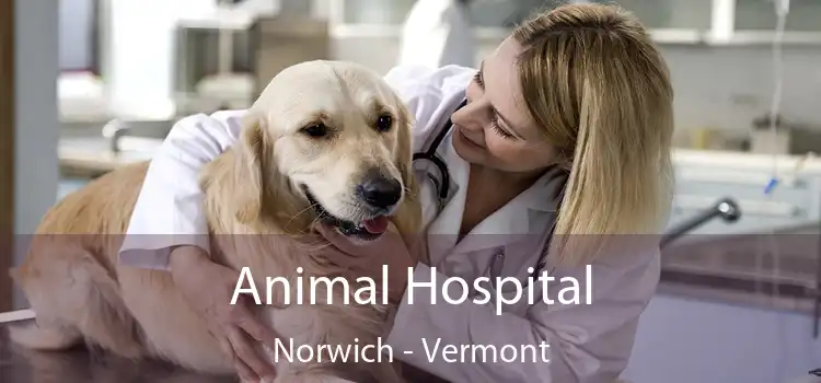 Animal Hospital Norwich - Vermont