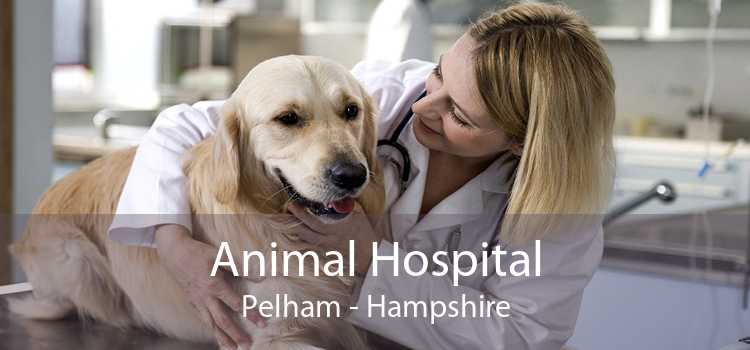 Animal Hospital Pelham - Hampshire