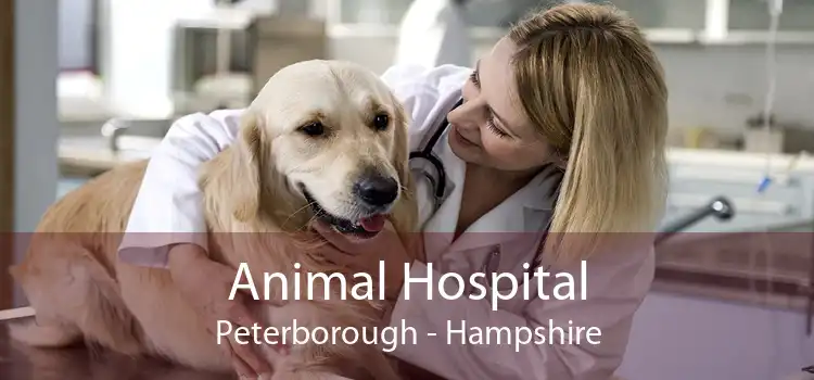 Animal Hospital Peterborough - Hampshire