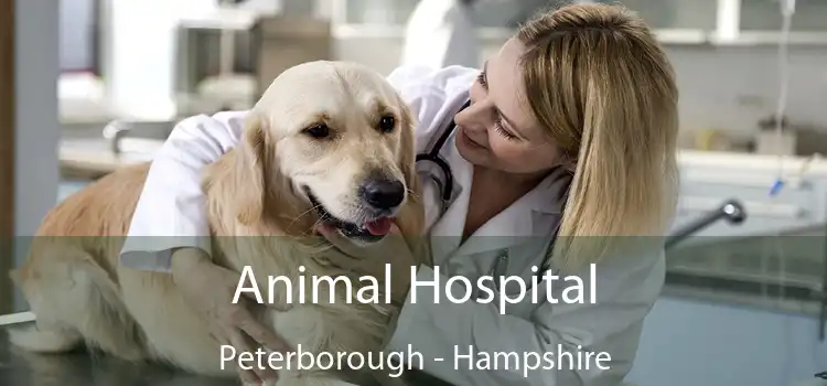 Animal Hospital Peterborough - Hampshire