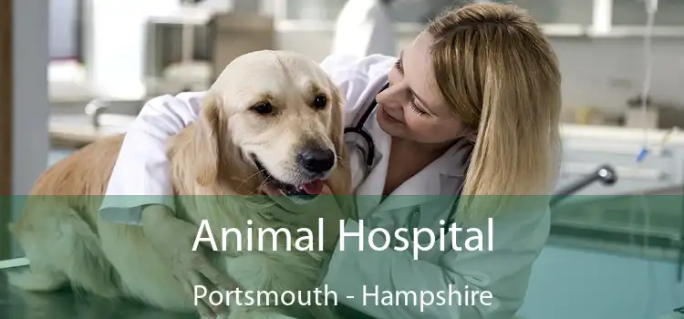 Animal Hospital Portsmouth - Hampshire