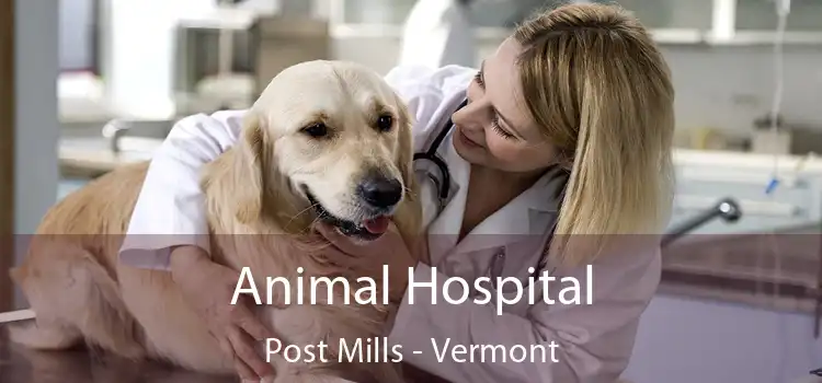 Animal Hospital Post Mills - Vermont