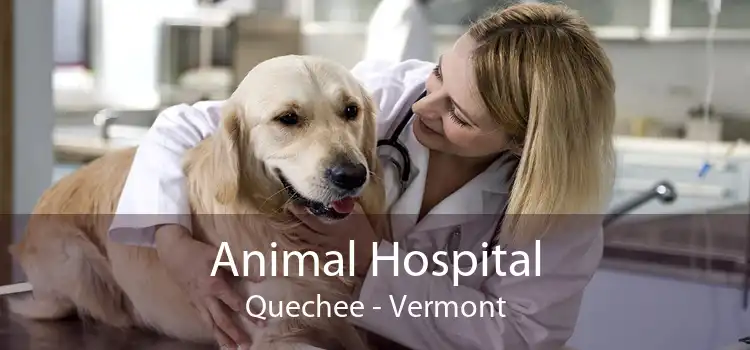 Animal Hospital Quechee - Vermont
