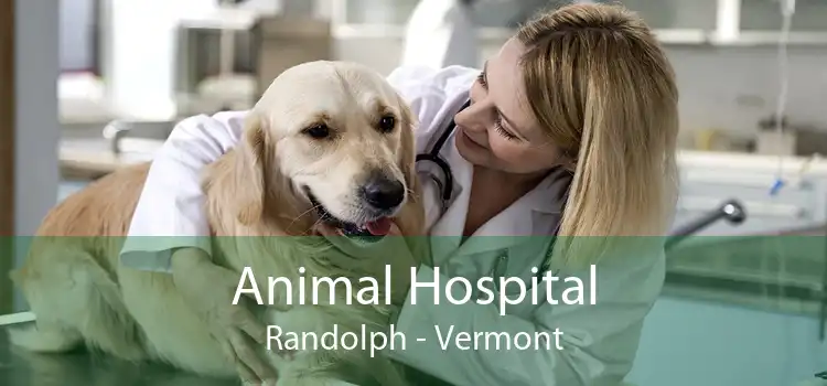 Animal Hospital Randolph - Vermont